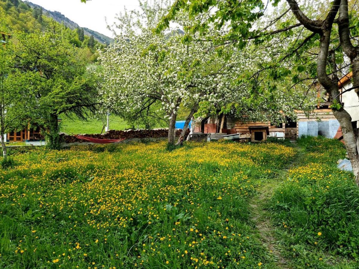Bed and Breakfast Girgola à Mestia Extérieur photo